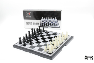 Šachy 20x20cm plastové magnetické cestovní